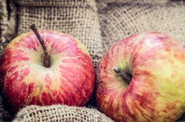 Red English delcious eating apples on sacking.