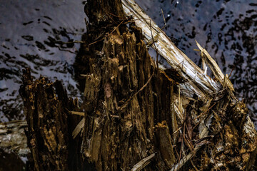 water flowing through the tree