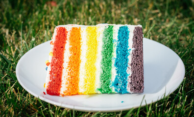 Slica of multicolored cake in white plate on grass. Cake with layers of bright rainbow colors inside