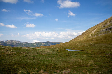 Magical forest climbing the highest Mountain