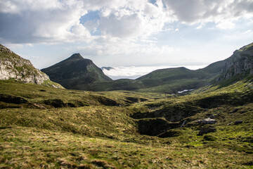 Obraz premium Magical forest climbing the highest Mountain