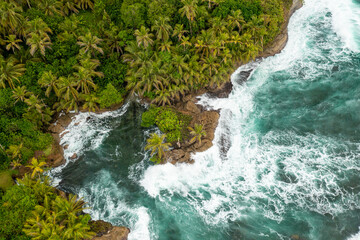 Tropical Island Aerial View. Wild coastline lush exotic green jungle. Red Frog Beach in Bastimentos...