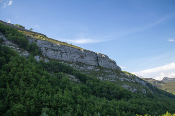 Magical forest climbing the highest Mountain