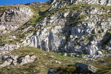 Magical forest climbing the highest Mountain