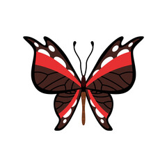 Exotic color butterfly. Hand drawn moth wings or insect. Cartoon tropical animal. Isolated vector icon