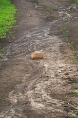 Ecology: Empty oil container on washed earth