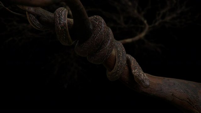 King cobra snake coil on big tree have slowly movement with 3d rendering include alpha path.