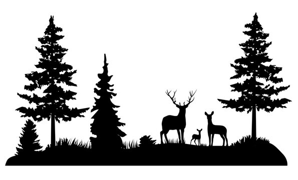 vector forest deer family