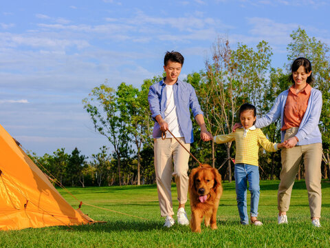 A happy family of three walking dogs in the park