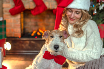 Dog near fireplace and Christmas tree, gift boxes
