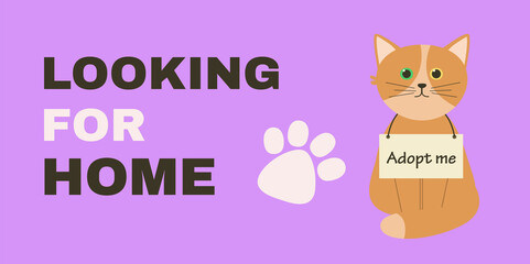 Concept for International homeless animals day. Vector banner with title Looking for home and cat with sign Adopt me.
