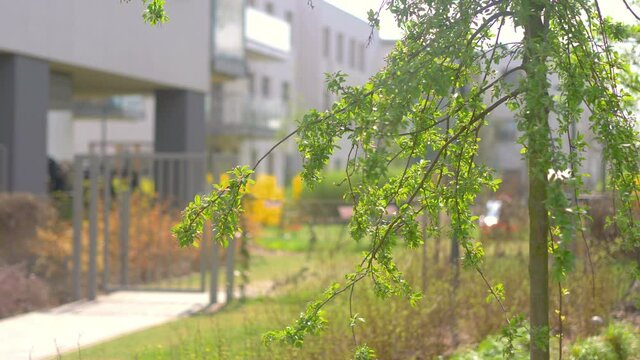 Young trees in front of the construction of a modern building in 4K Slow motion 60fps