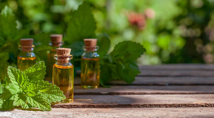 essential oil bottles with fresh melissa in the nature blurred background with bokeh lights	