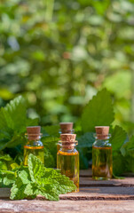 essential oil bottles with fresh melissa in the nature blurred background with copy space