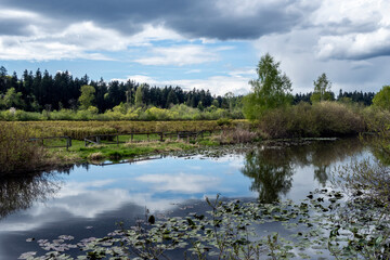view of a large lake beside a fenced in blueberry farm in the pacific northwest on a cloudy, sunny day