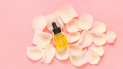 facial and body bottle of oil on the pink rose petals with water drops at the pastel pink background top view, skin care banner