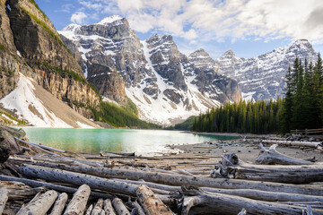 Logs on the shore of turquoise Lake Moraine in Banff National Park at the sunset hitting on the Ten Peaks Valley