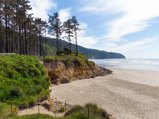 In the photo we see the coastal area. Hills where pine trees grow. Sandy shore. In the distance, we see the ocean, forest and blue sky with white clouds in the photo. Beautiful landscape.