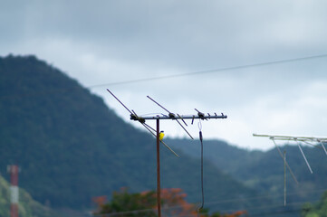 Bird on the power line in the mountain
