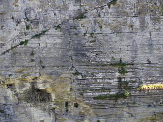 The texture of a smooth, sheer gray rock with sparse grass sprouts in a prehistoric nature reserve. Stone cliff background close-up.
