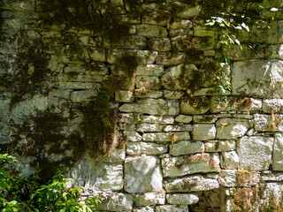 The primitive stone wall of the fortress is overgrown with green moss. The background of ancient brickwork.