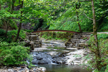stream flowing beneath bridge