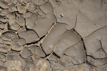 Dry ground texture in a puddle.