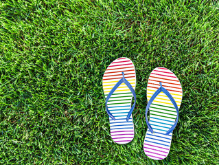 Pair of colorful striped sandals on green grass, casual footwear style in summer park. Top view-rainbow fashion color of flip flops, comfortable slippers at the outdoor park. Stands for pride concept