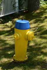 Yellow Fire Hydrant