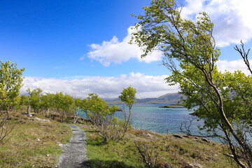 On a hike a great summer day,Helgeland,Nordland county,scandinavia,Europe