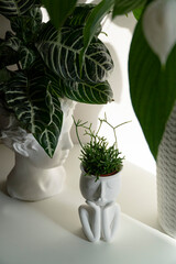 White sculpture flower pot with plants inside. Flower pot head. 