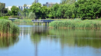 Fototapeta na wymiar Pond in public garden. Lush trees and foliage around a pond in a public park 