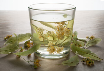 Glass of linden tea