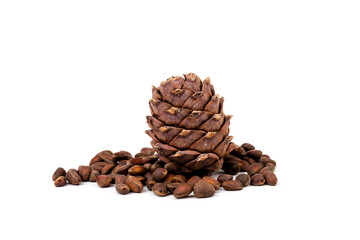 Pine nuts and ripe pine cones on a white background