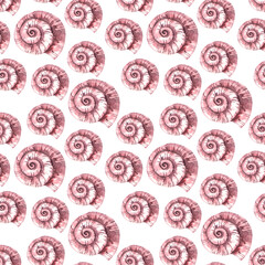 Print on a nautical theme. Seamless watercolor pattern Shell snail on a white background. Marine fauna. Handmade graphics. Seamless pattern with snails.