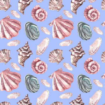 Seamless watercolor print. Pattern on the marine theme. Seashells on a blue background. Pebbles, rapa, scallop, snail and other shells. Colored seashells on a blue background.