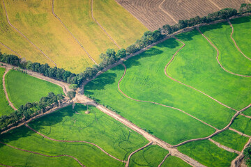 Cultivos de arroz a las afueras de Cucuta_Norte de Santander_Colombia, vista aerea de cultivos de arroz zona fronteriza entre Colombia y Venezuela 
Rice crops on the outskirts of Cucuta Colombia