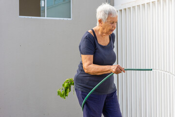 Mulher idosa regando o jardim com mangueira água