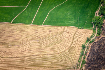 Cultivos de arroz a las afueras de Cucuta_Norte de Santander_COlombia, vista aerea de cultivos de arroz zona fronteriza entre Colombia y Venezuela 
Rice crops on the outskirts of Cucuta Colombia