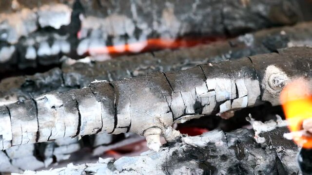 Fire transforms the wood into charcoal. Charcoals in bright fire. Firewood, logs, coals are burning in the grill. Beautiful slow motion of vivid fire flame over the wooden logs