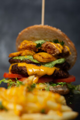 Hamburguesas y Comida Rapida