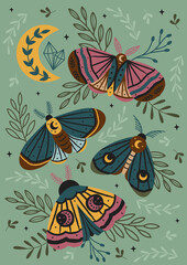 magic forest poster with moth, butterfly, moon

