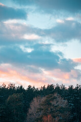 sunset over the forest