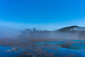 Whaler's Cove in Fog in in Point Lobos State Park