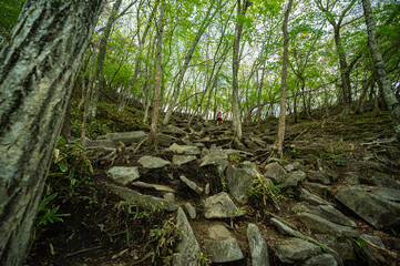 赤城山登山道