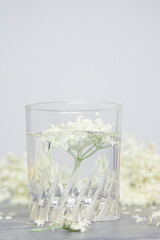 A glass of elderflower juice.	