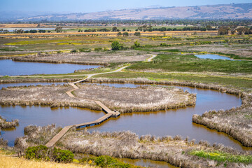 Marsh landscape, Coyote Hills Regional Park