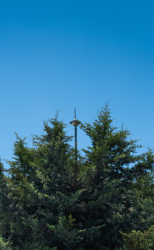 lightning rod on pole, blue sky background, among the trees,