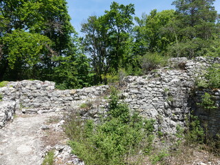 Fototapeta na wymiar Ruine Radegg in Wilchingen
