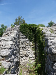 Ruine Radegg in Wilchingen